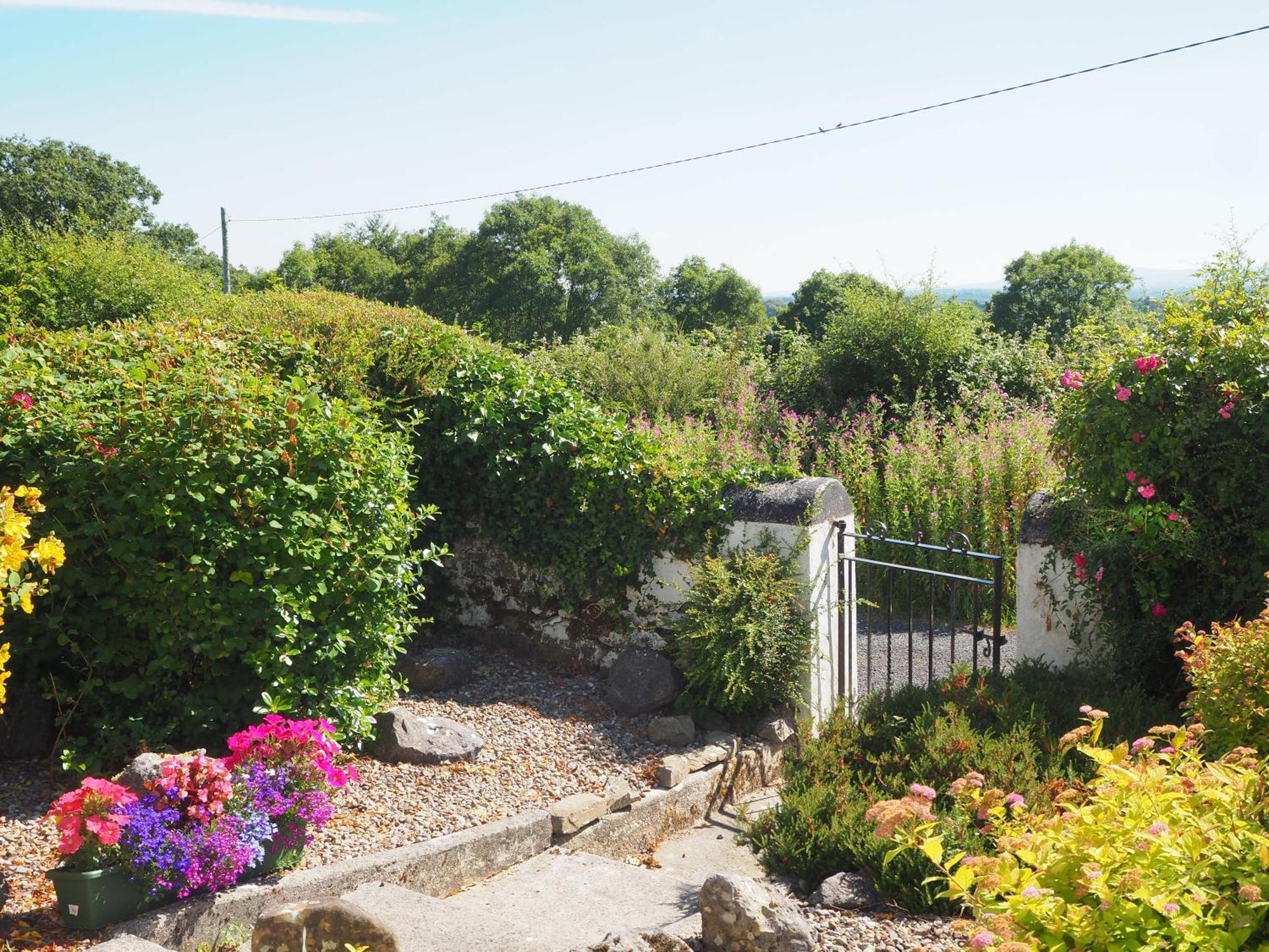 The Cottage @ Burkedale House Corofin  Exterior foto